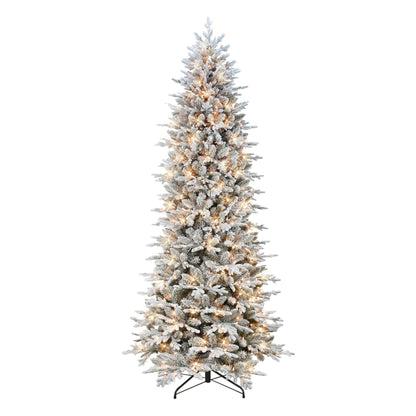 9 / Clear Incandescent