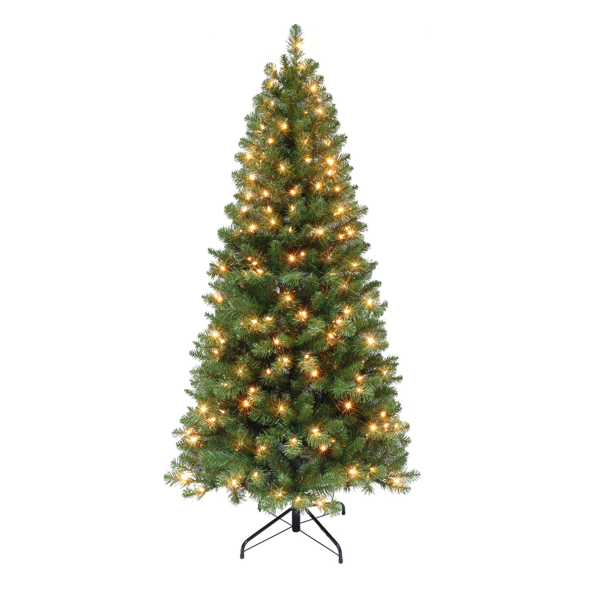 6 / Clear Incandescent