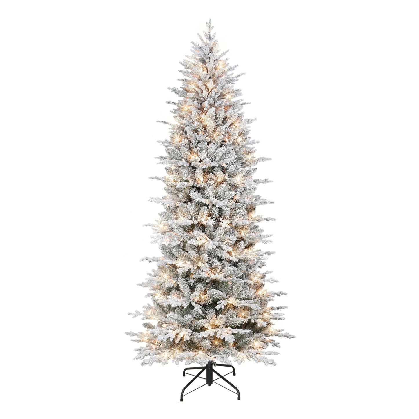 7.5 / Clear Incandescent