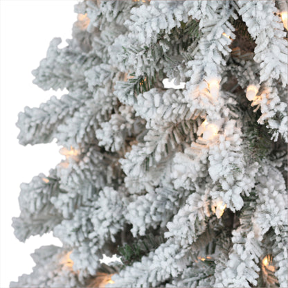 6 / Clear Incandescent / Flocked