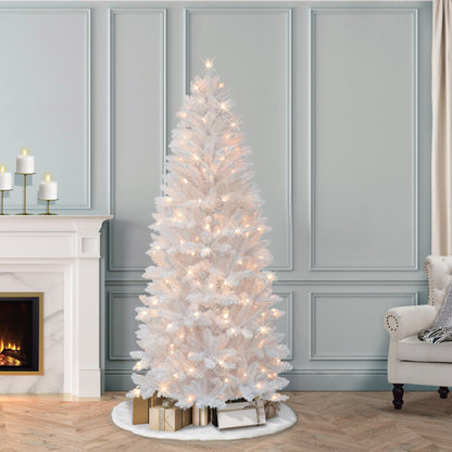 6 / Clear Incandescent