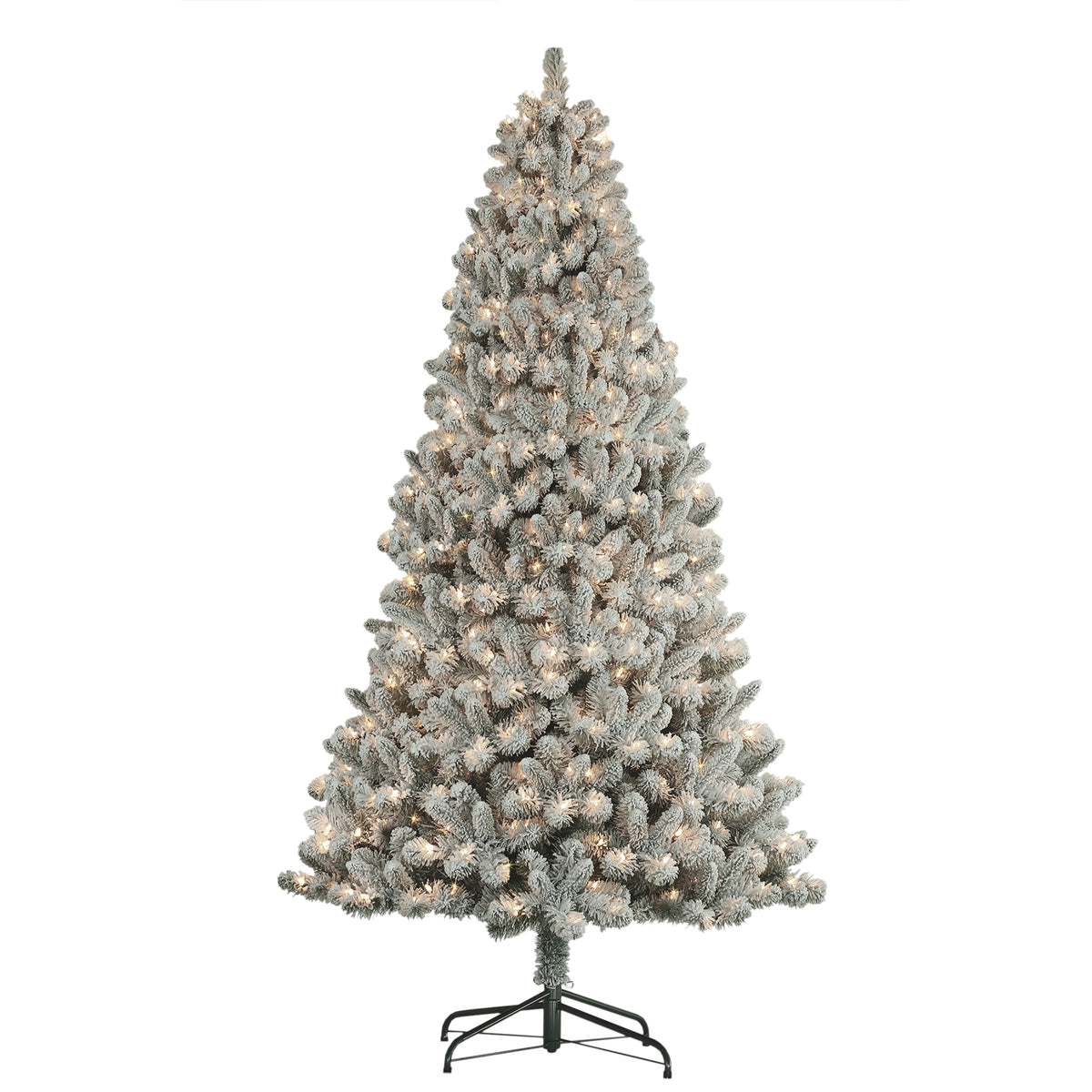 6 / Clear Incandescent
