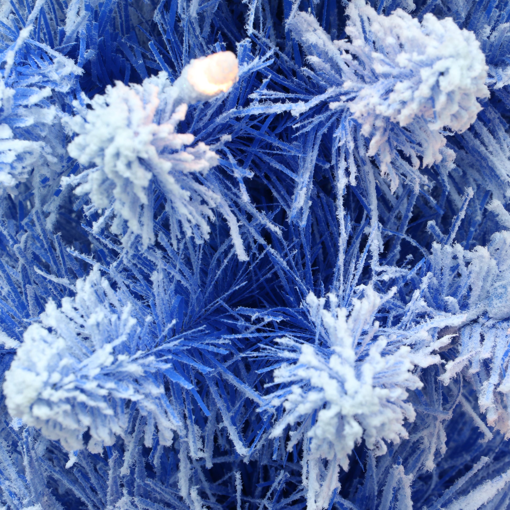 6.5 / Flocked Blue