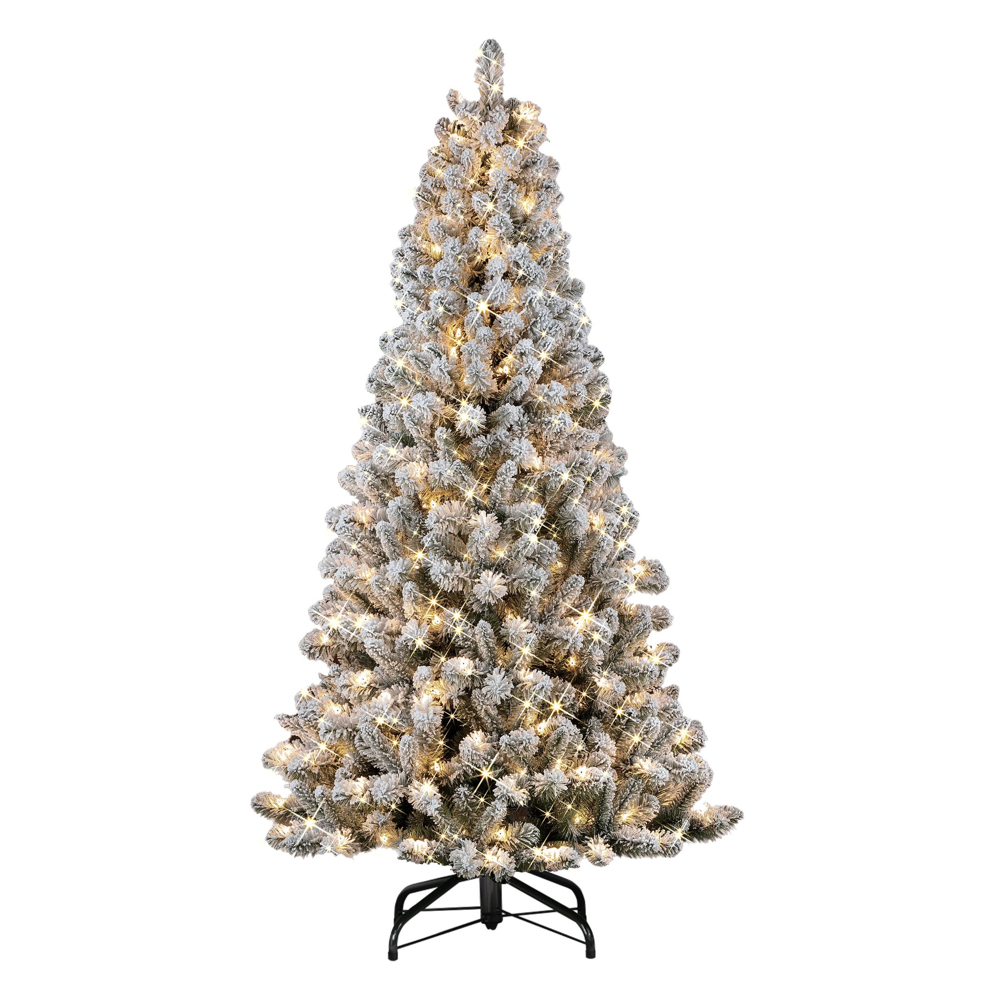 6.5 / Clear Incandescent