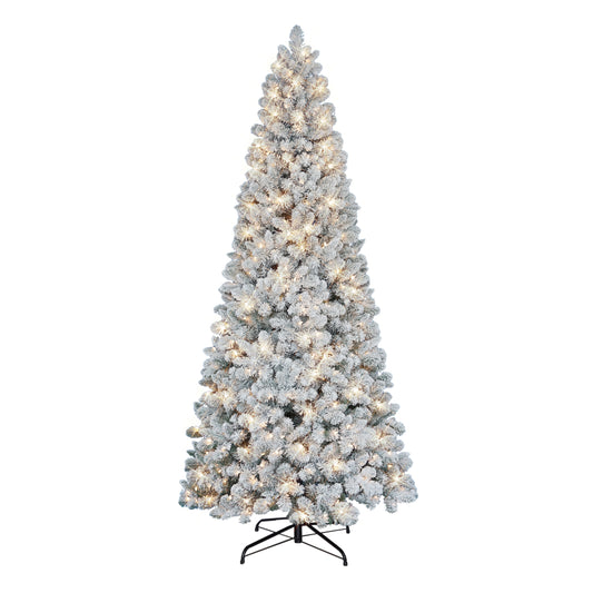 9 / Clear Incandescent