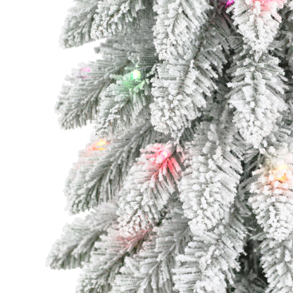 7 / Clear/Multi Incandescent