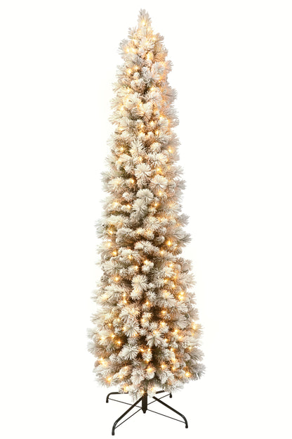 6.5 / Warm White LED