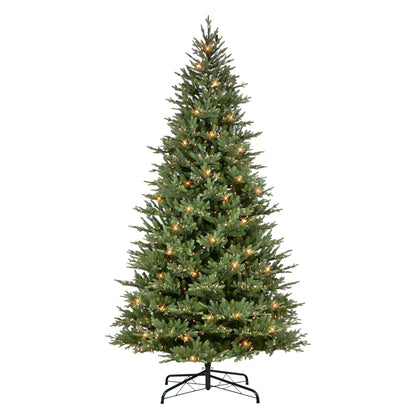 10 / Full / Clear Incandescent
