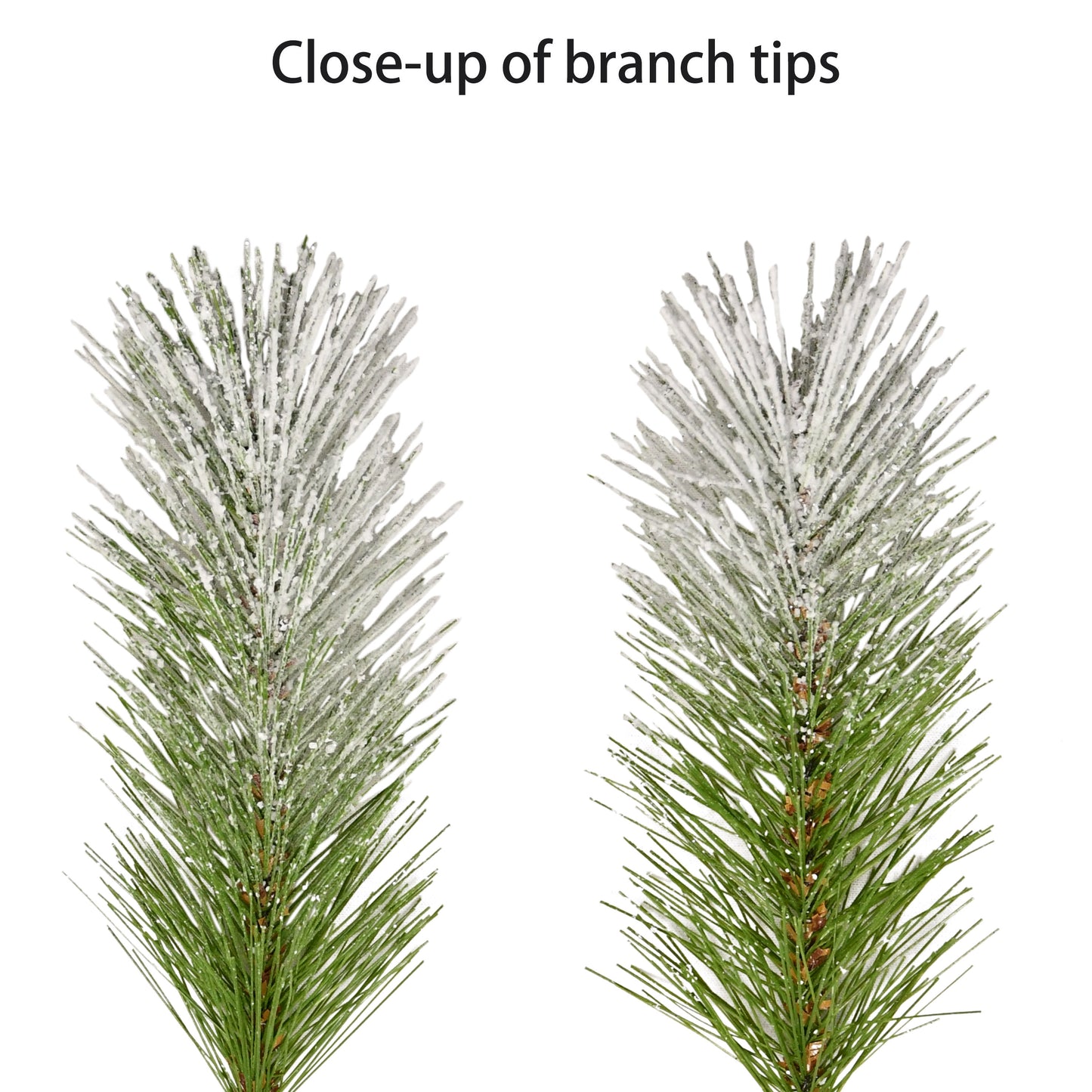 24" Pre-lit B/O Flocked Wreath, 50 Branch Tips, 20 Warm White LED Lights, Pinecones