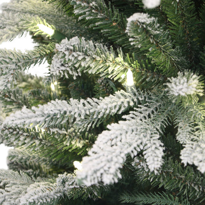 6 / Warm White LED / Flocked