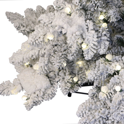 6.5 / Full / Warm White LED