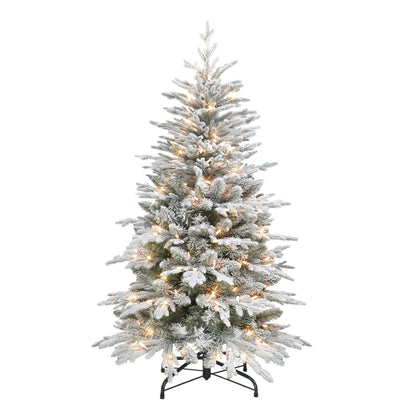 4.5 / Clear Incandescent