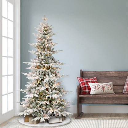 6.5 / Slim / Clear Incandescent