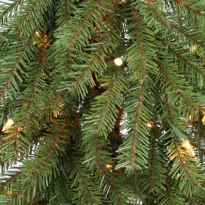 7 / Clear Incandescent / Green