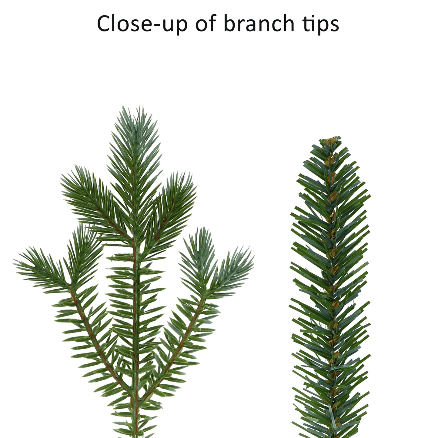 24" Linden Fir Wreath, 250 Branch Tips