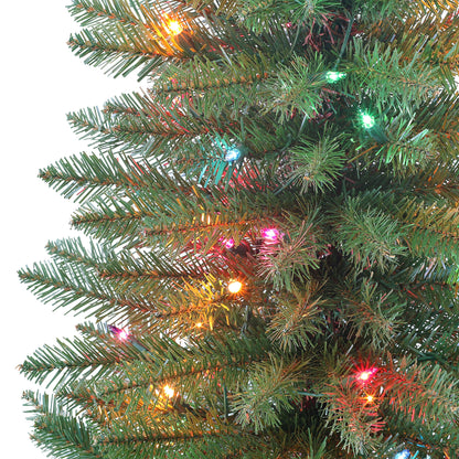 3 / Full / Multi Incandescent