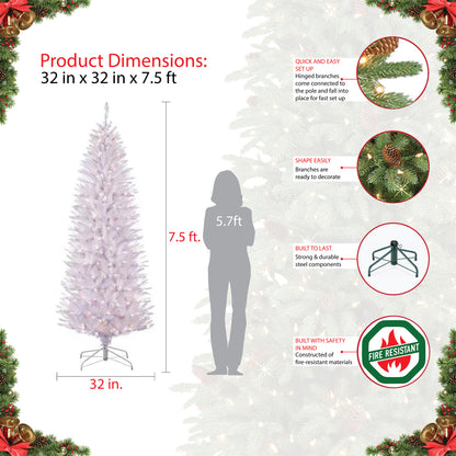 7.5 / Clear Incandescent