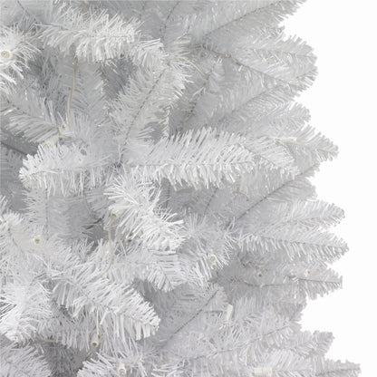 7 / Clear Incandescent