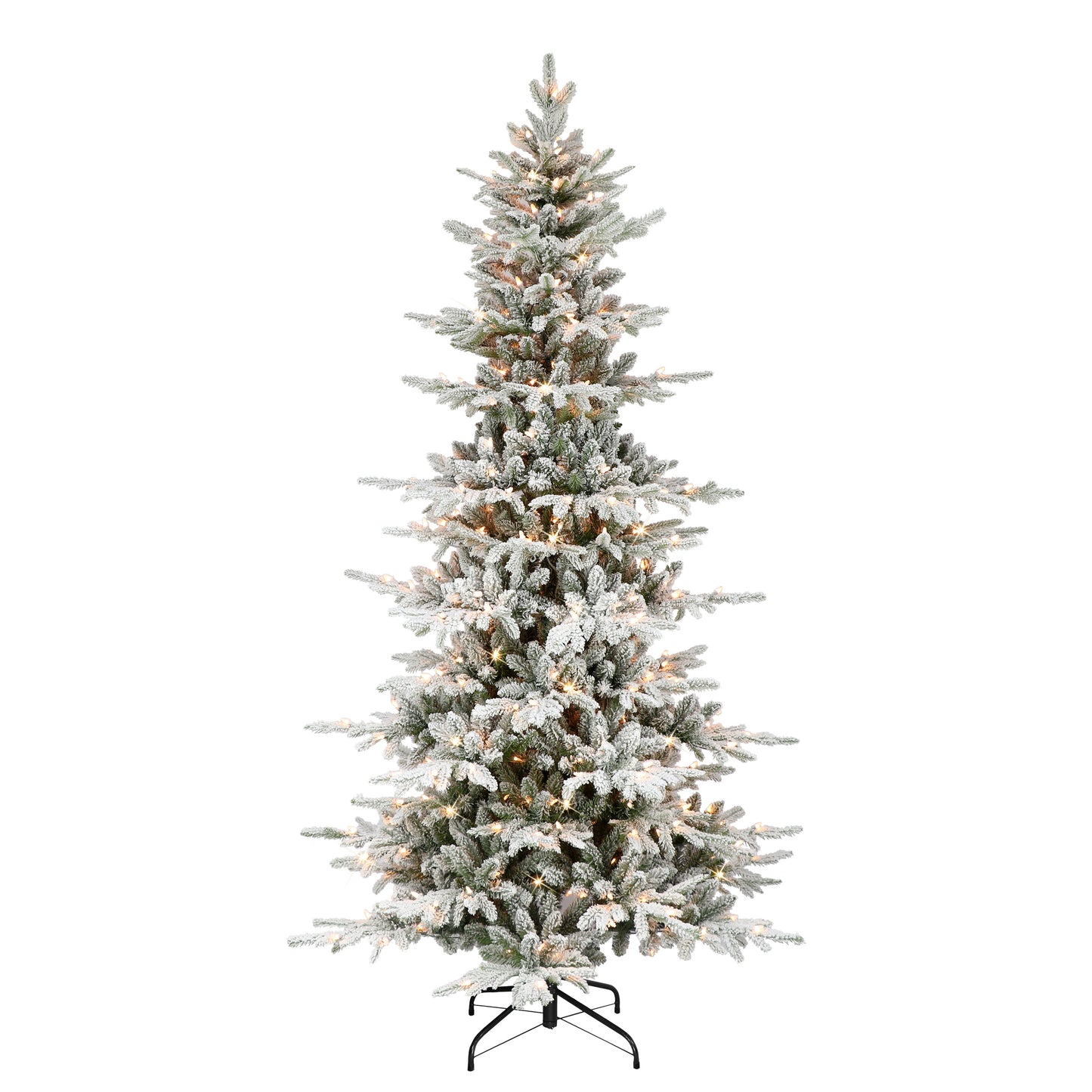 6.5 / Slim / Clear Incandescent