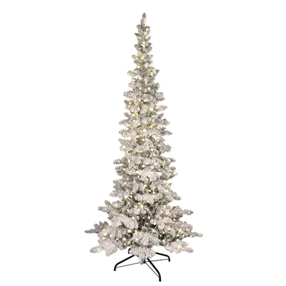 6.5 / Full / Warm White LED