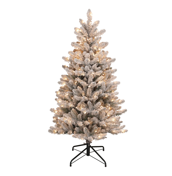 4.5 / Clear Incandescent