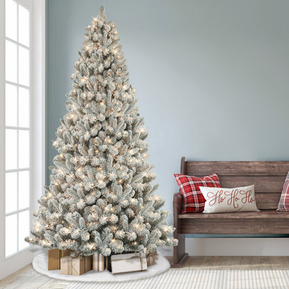 6 / Clear Incandescent