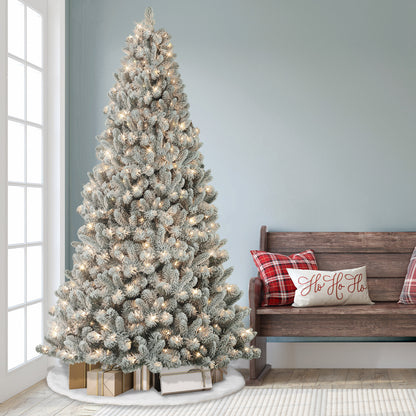 6.5 / Clear Incandescent