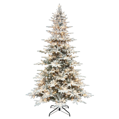9 / Full / Clear Incandescent
