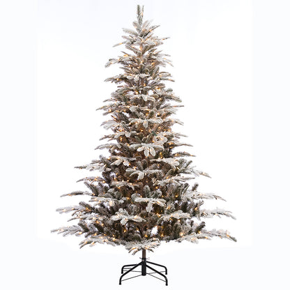 6.5 / Full / Clear Incandescent