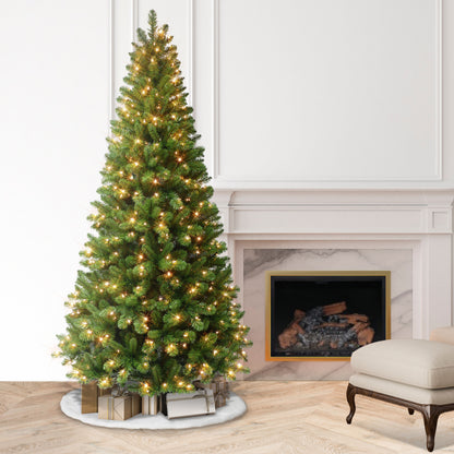 7.5 / Clear Incandescent