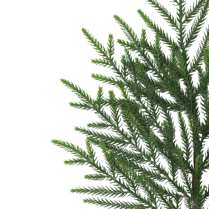 Puleo Classics Pine Branch Kit - 6 Pack