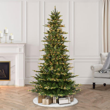 6.5 / Slim / Clear Incandescent