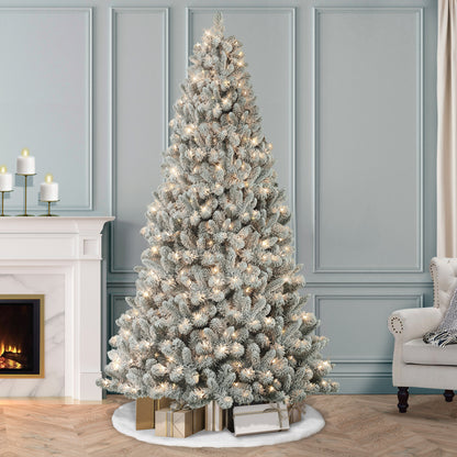 6.5 / Clear Incandescent