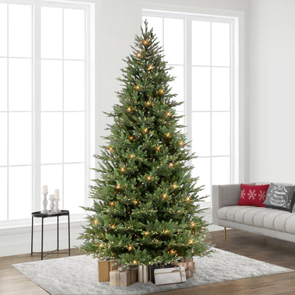 10 / Full / Clear Incandescent