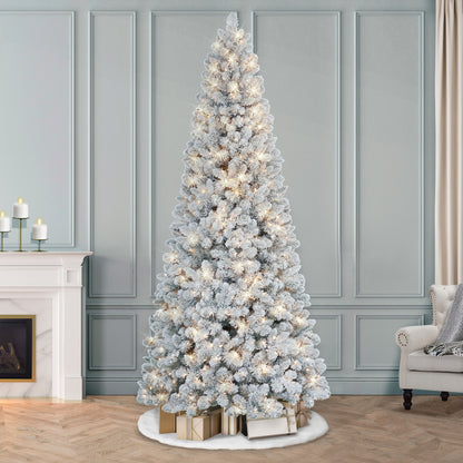 9 / Clear Incandescent