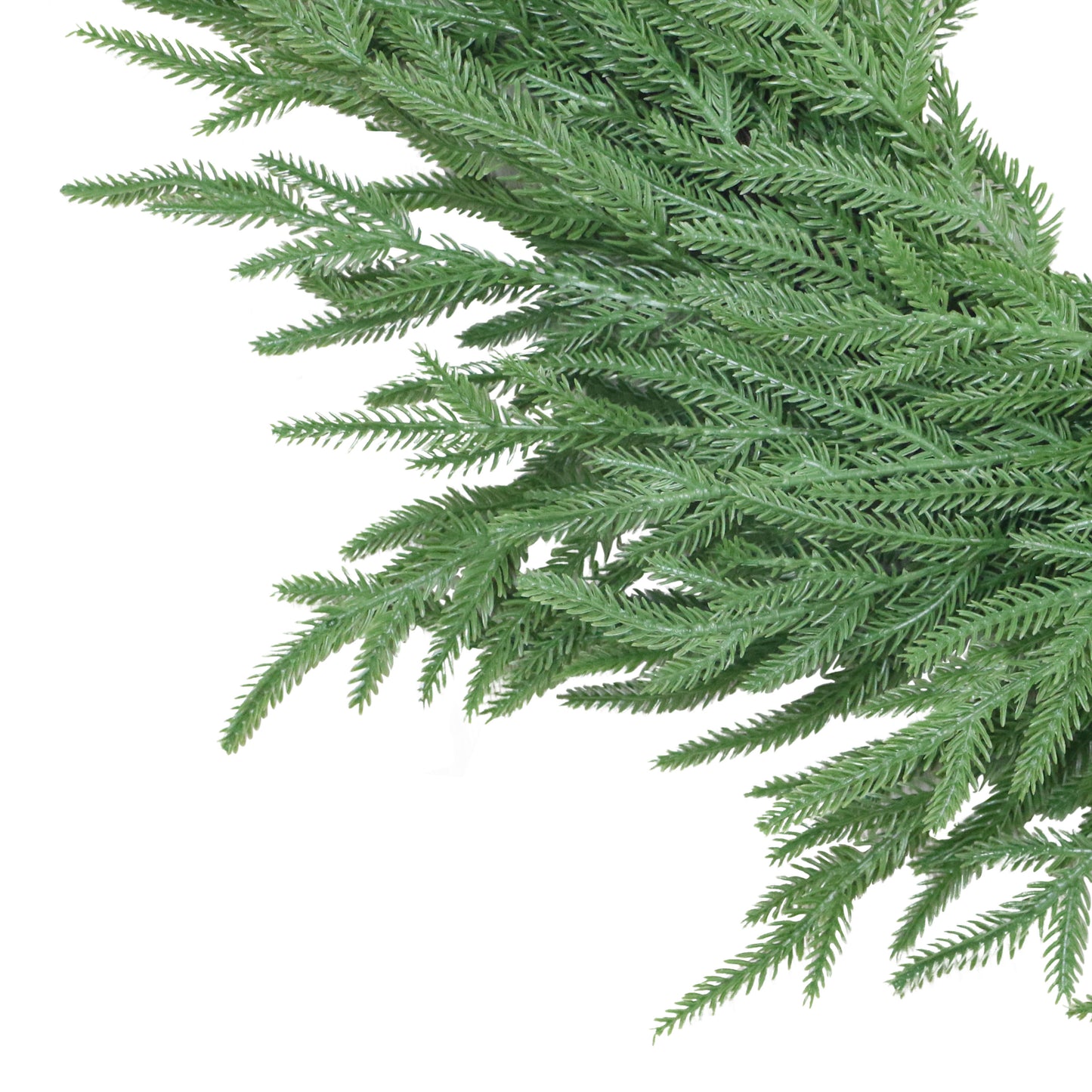 24" Norfolk Pine PE Wreath, 61 Branch Tips