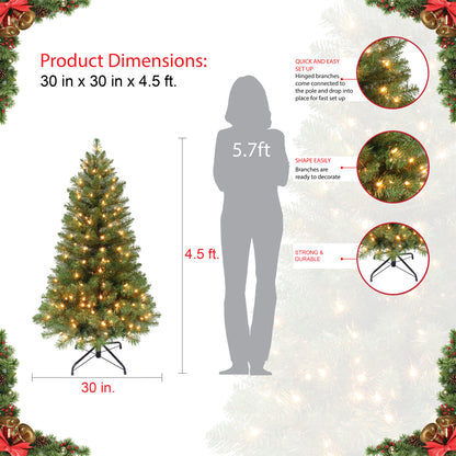 4.5 / Clear Incandescent