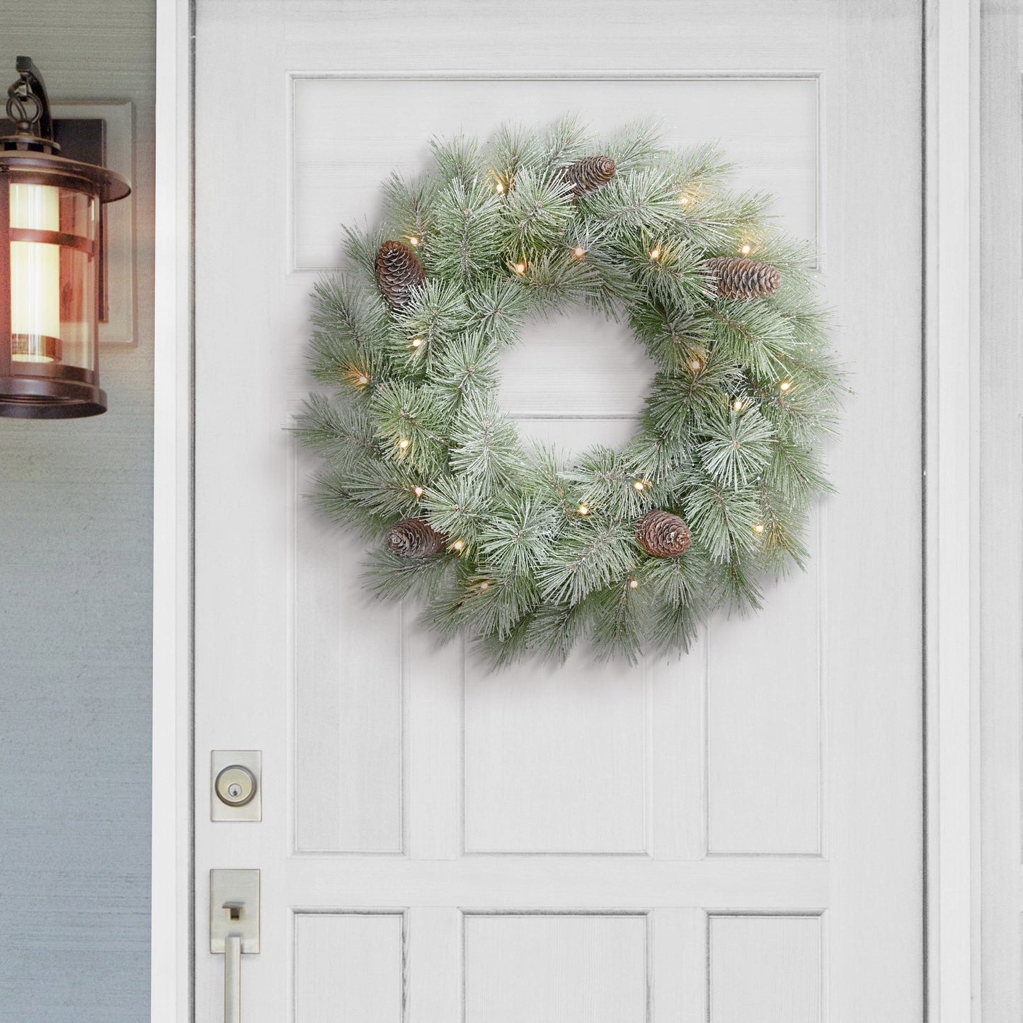 24" Pre-lit B/O Flocked Wreath, 50 Branch Tips, 20 Warm White LED Lights, Pinecones