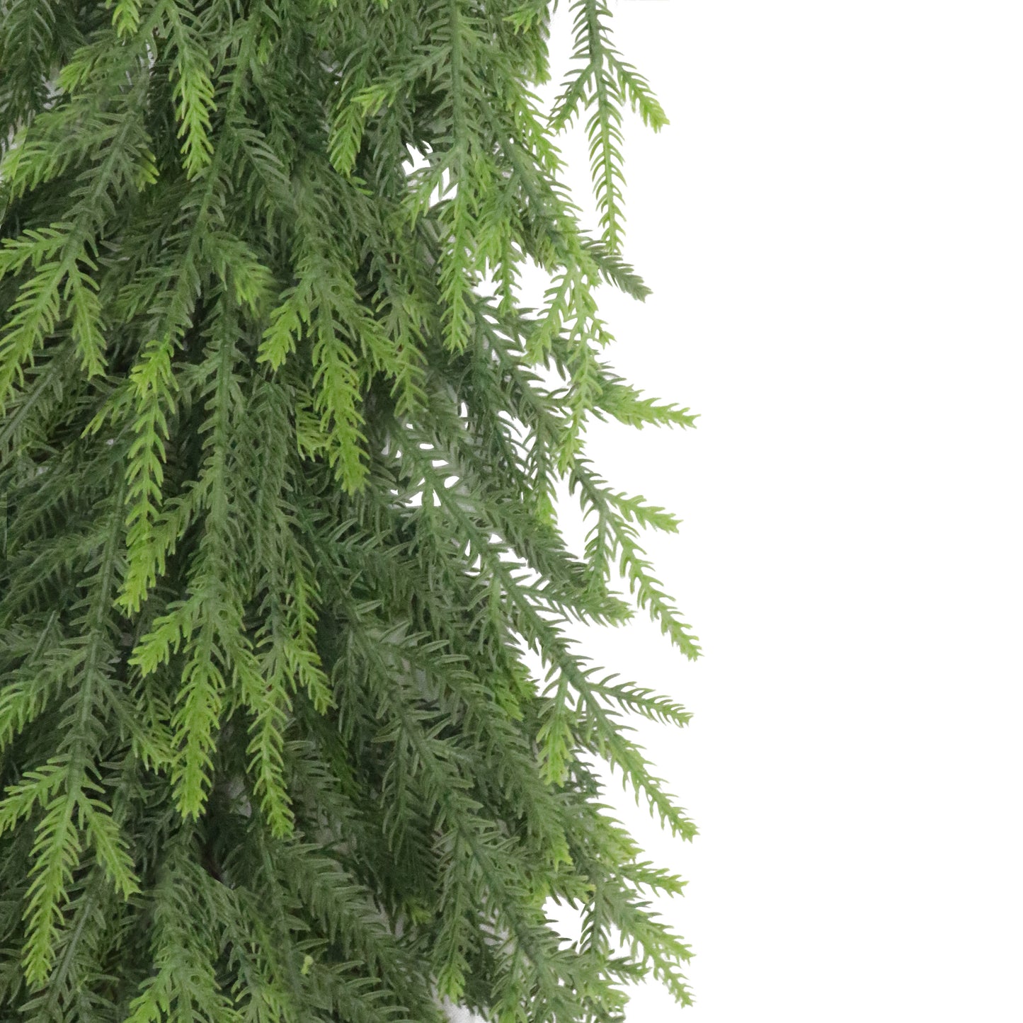 Puleo Classics Deluxe Pine Garland - 10ft