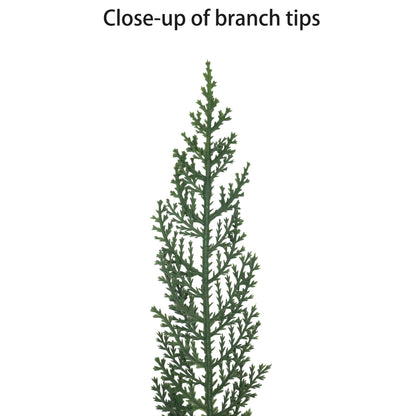 22" Cypress Wreath Wreath, 117 Branch Tips