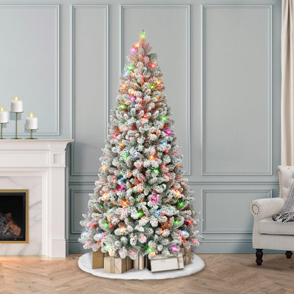 6.5 / Clear/Multi Incandescent