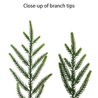 Puleo Classics Deluxe Pine Garland - 10ft