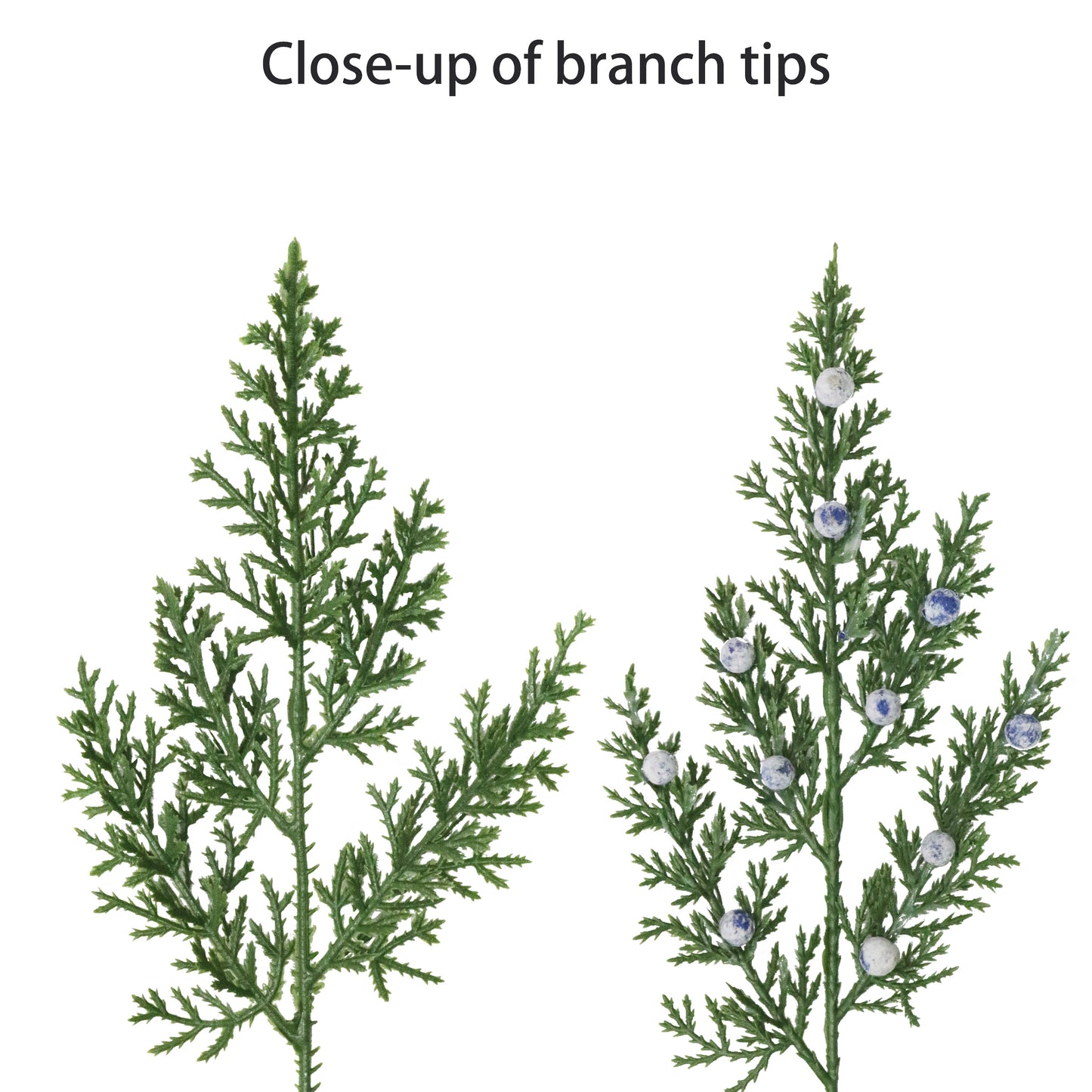 Puleo Classics Juniper Garland - 10ft