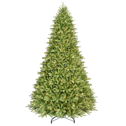 10 / Full / Clear Incandescent