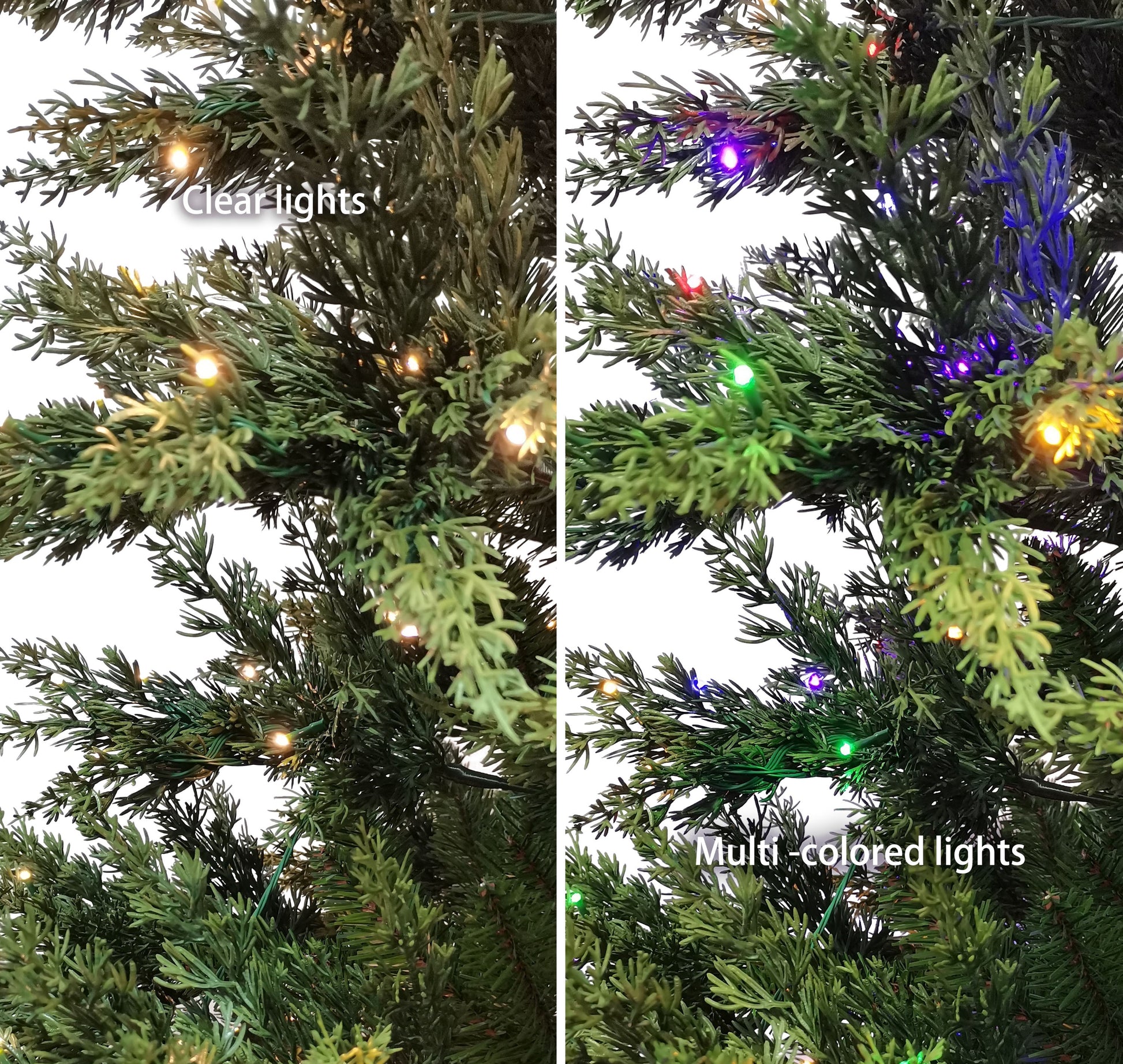 7.5 / Dual Color LED