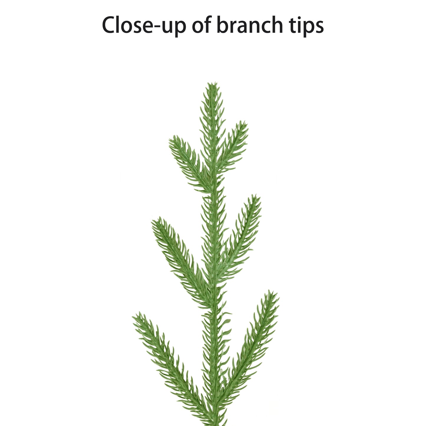 3 ft. Pre-Lit Potted Artificial Tree